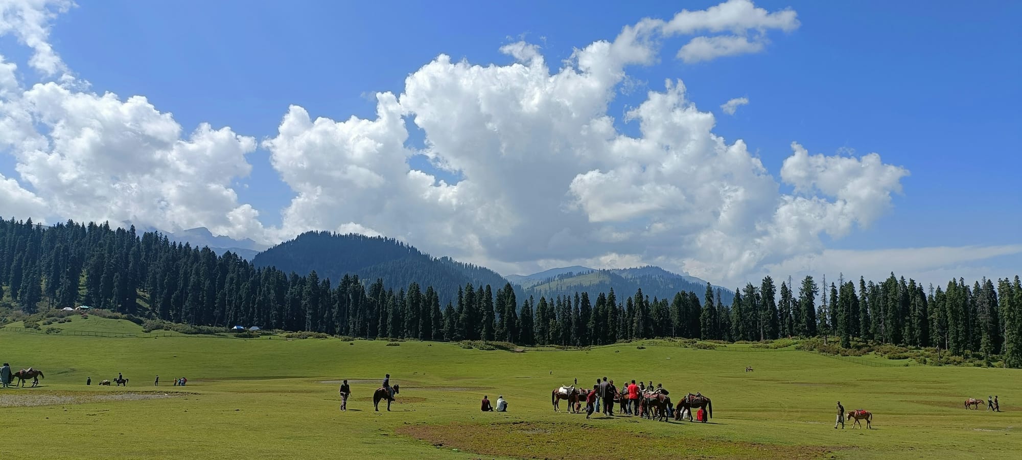 Horse riders crossing the wide green meadow of Doodhpathri under a bright summer sky